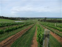 Razorback Ridge Wines - Geraldton Accommodation