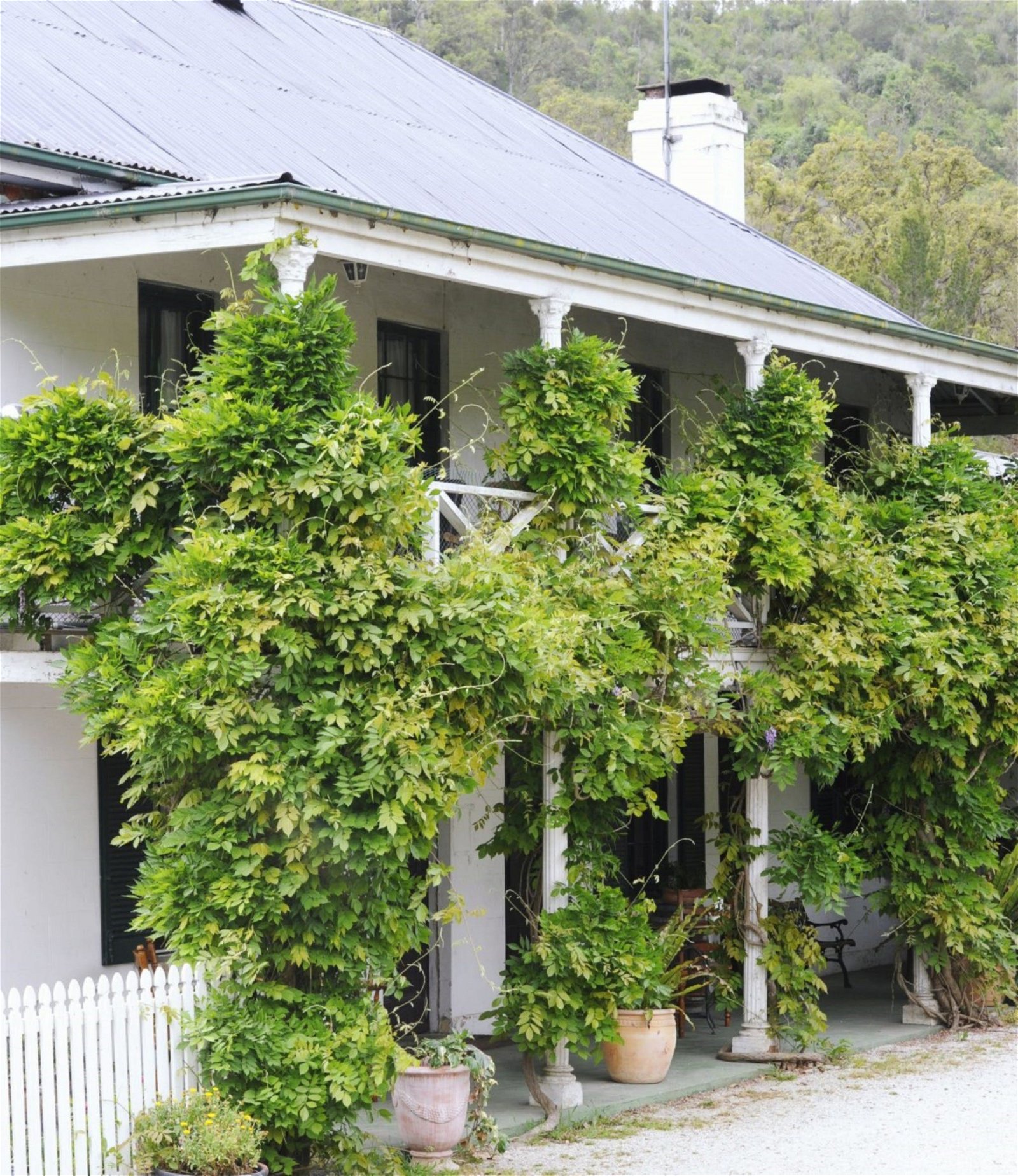 The Common Ground Cafe and Bakery - Northern Rivers Accommodation