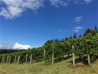 Freycinet Vineyard - Melbourne Tourism