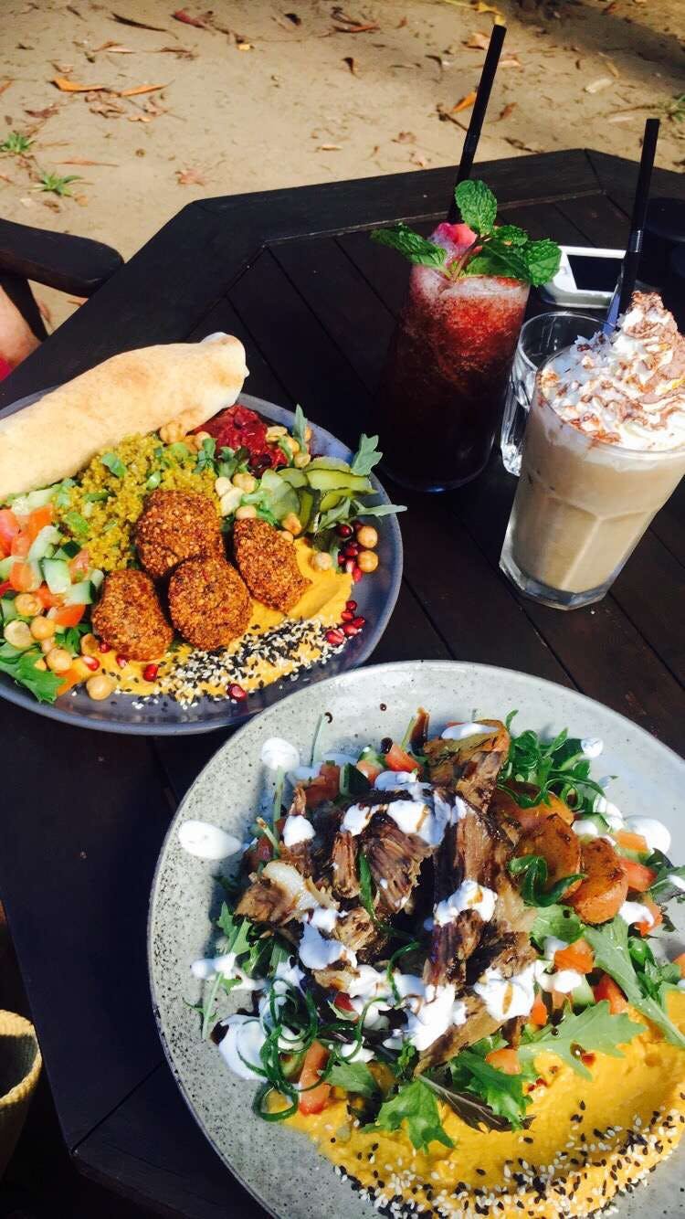 Rainforest Cafe Restaurant - New South Wales Tourism 