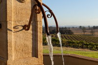 Thomas Allen Wines - Bundaberg Accommodation