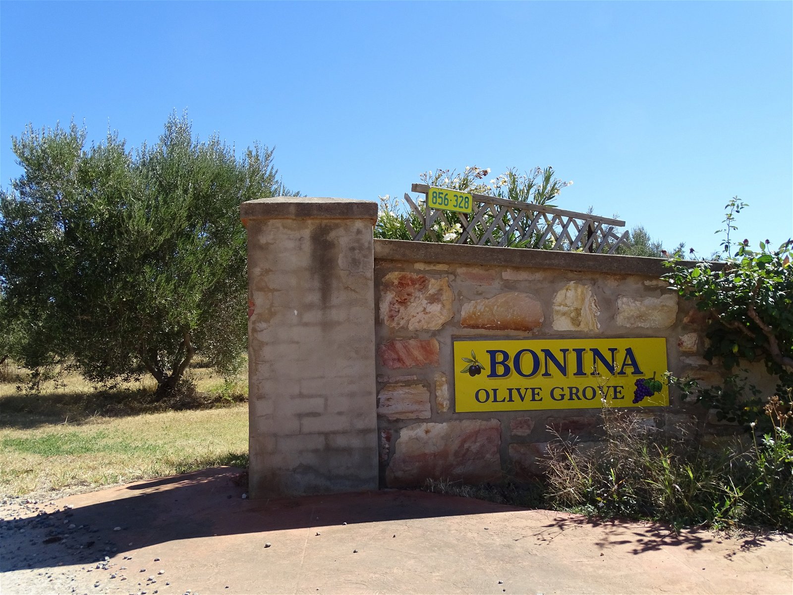 Bonina Olive Grove - thumb 1