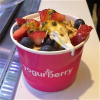 Yogurberry - Castle Hill - Stayed