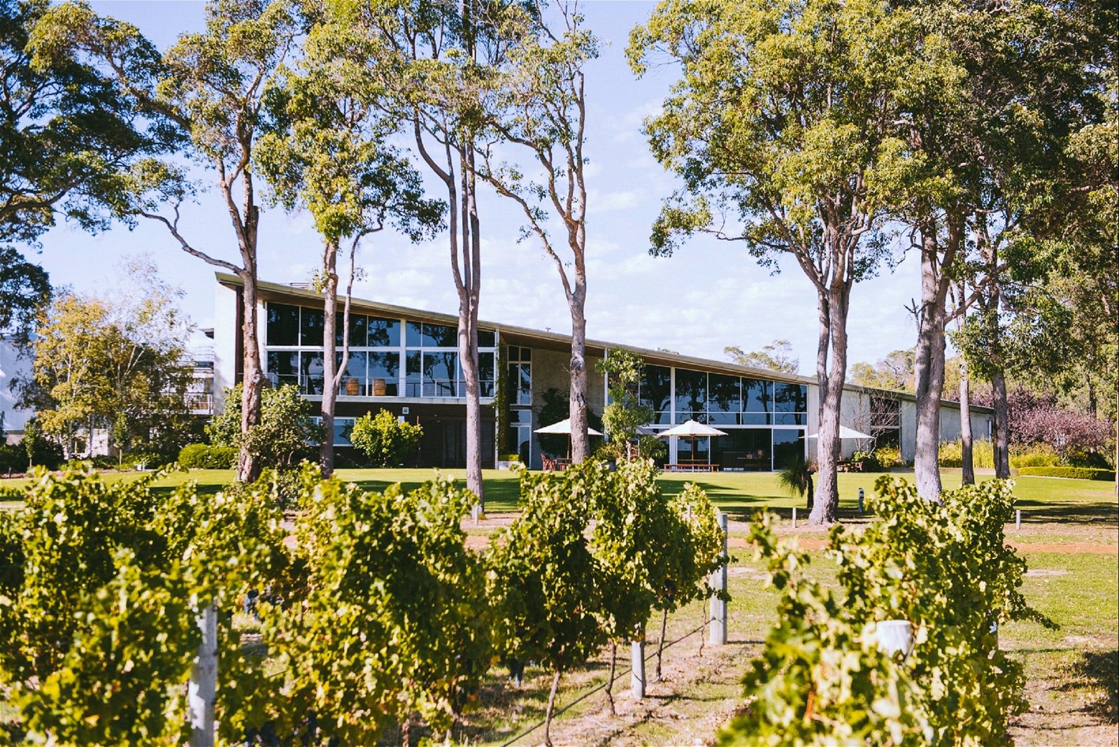 MadFish Wines Margaret River - Northern Rivers Accommodation