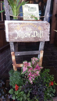 Common Ground Cafe  The Yellow Deli - Maitland Accommodation