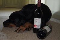 Dog Trap Vineyard - Accommodation Adelaide