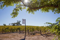 Hayes Family Wines - Melbourne Tourism