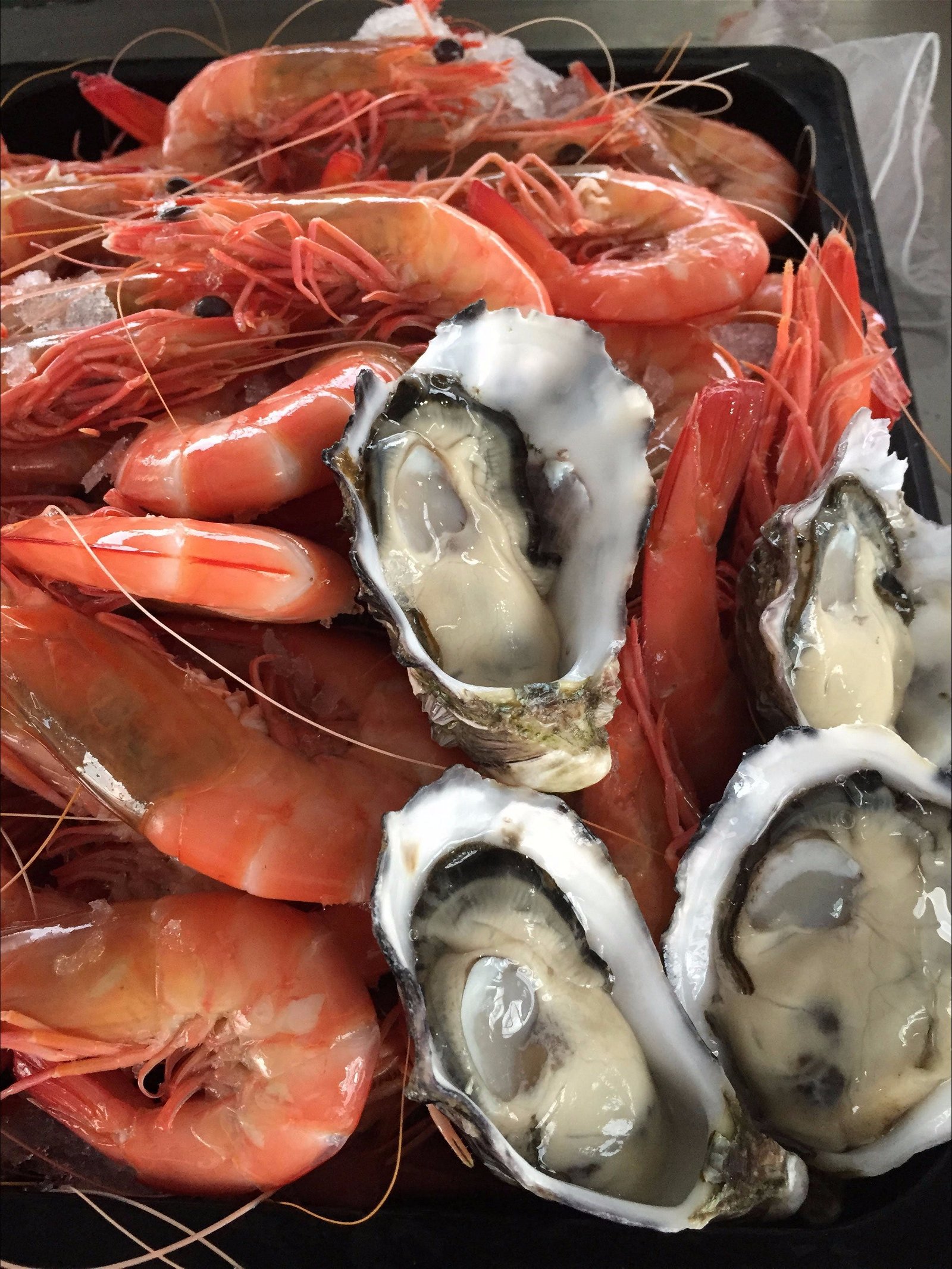 Mi Shells Seafood - New South Wales Tourism 