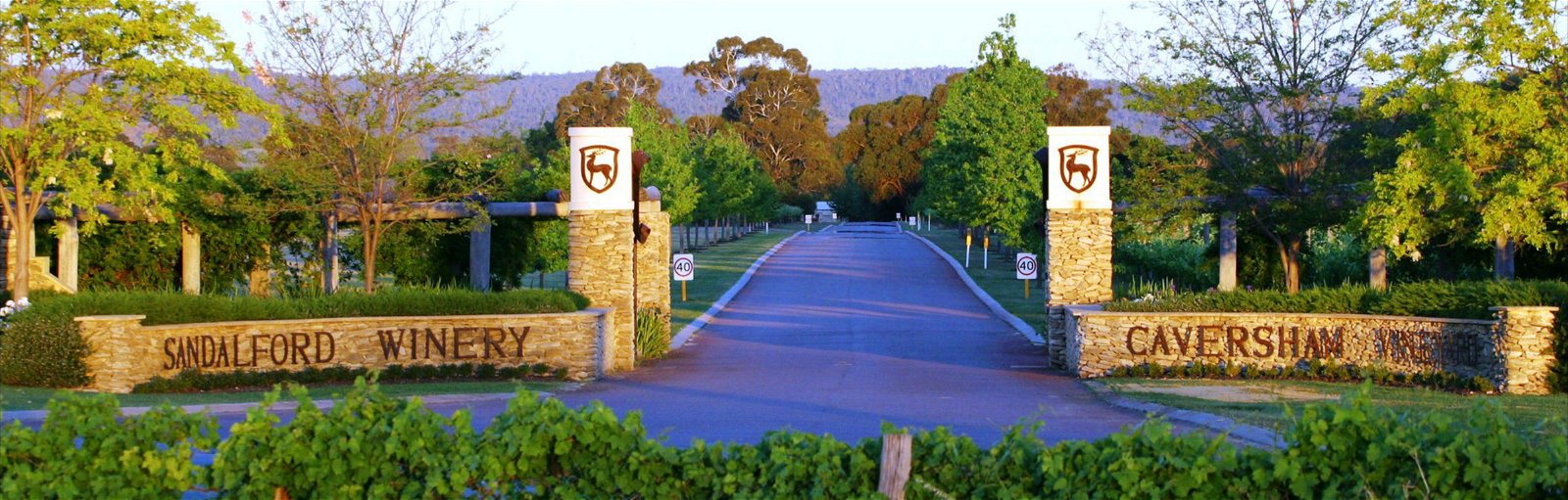 Sandalford Wines - Swan Valley - Northern Rivers Accommodation
