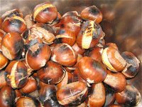 Tweenhills Chestnuts - Broome Tourism