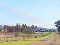 Blacklea Vineyard and Olive Grove - New South Wales Tourism 