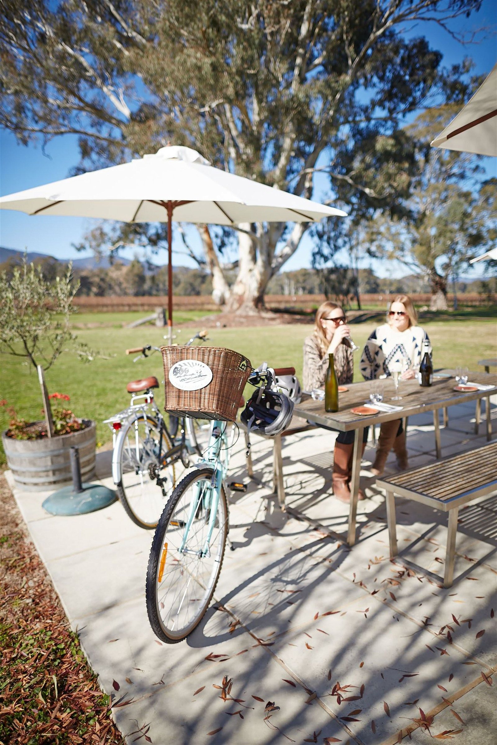 Dal Zotto Wines Cellar Door - Northern Rivers Accommodation