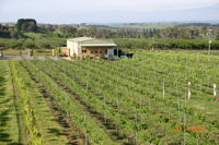 Dindima Wines - Mackay Tourism