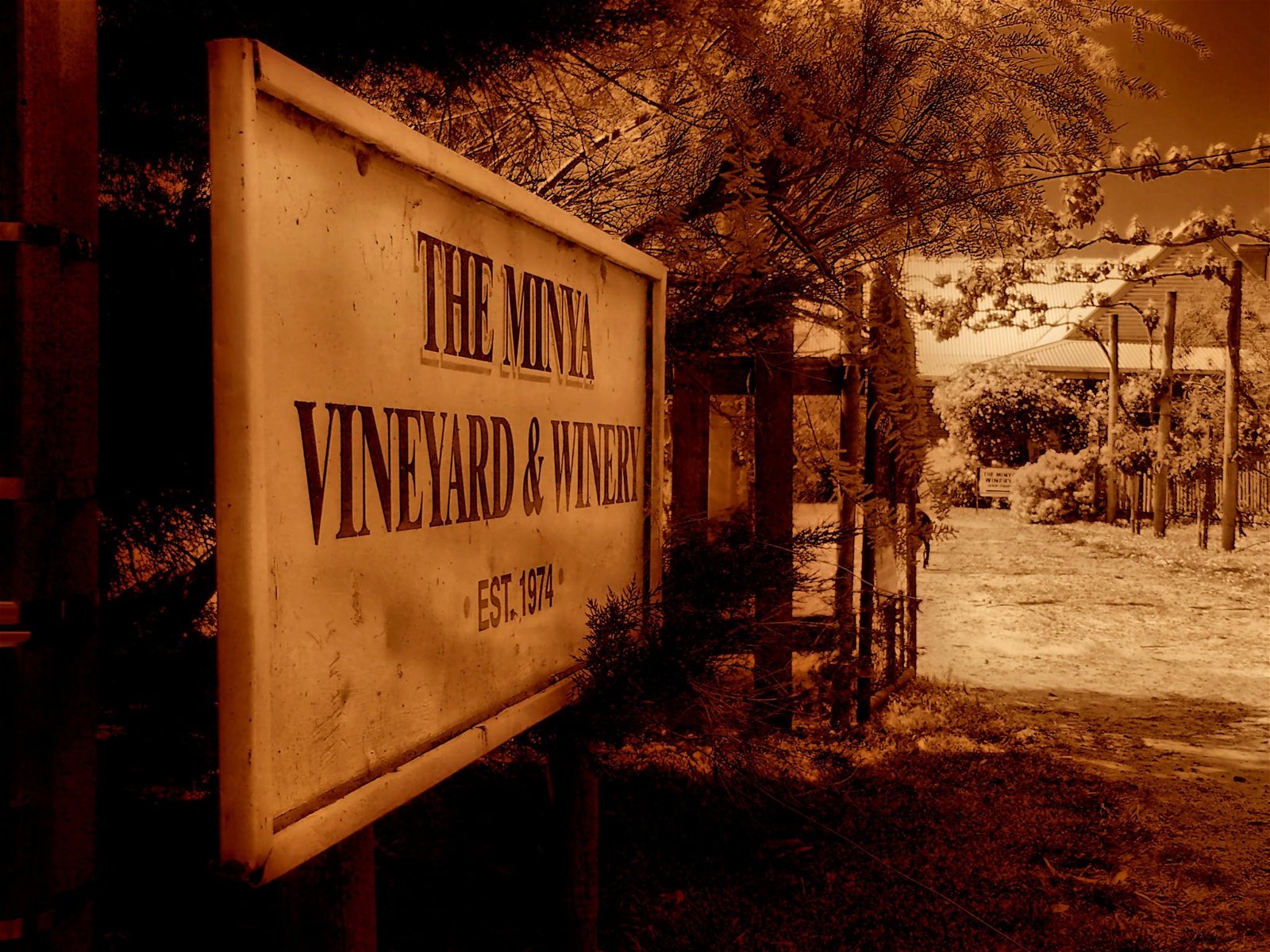 The Minya Vineyard & Winery - thumb 2