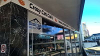 Crazy Cat Cafe - Restaurant Find