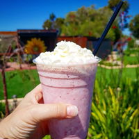 Flower Cellar Door and Cafe - Accommodation Broken Hill