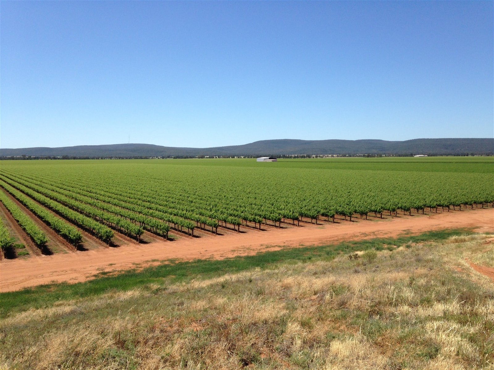 Melange Wines - Australia Accommodation