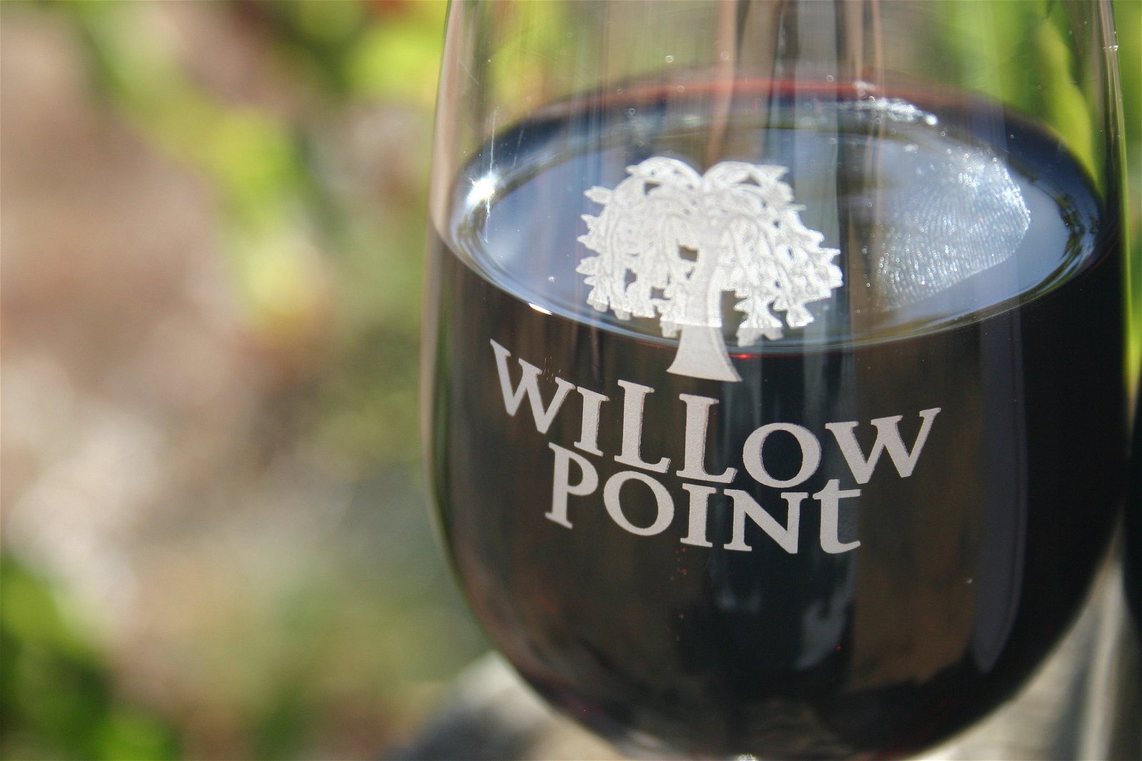Willow Point Wines Cellar Door And Bottle Shop - thumb 1