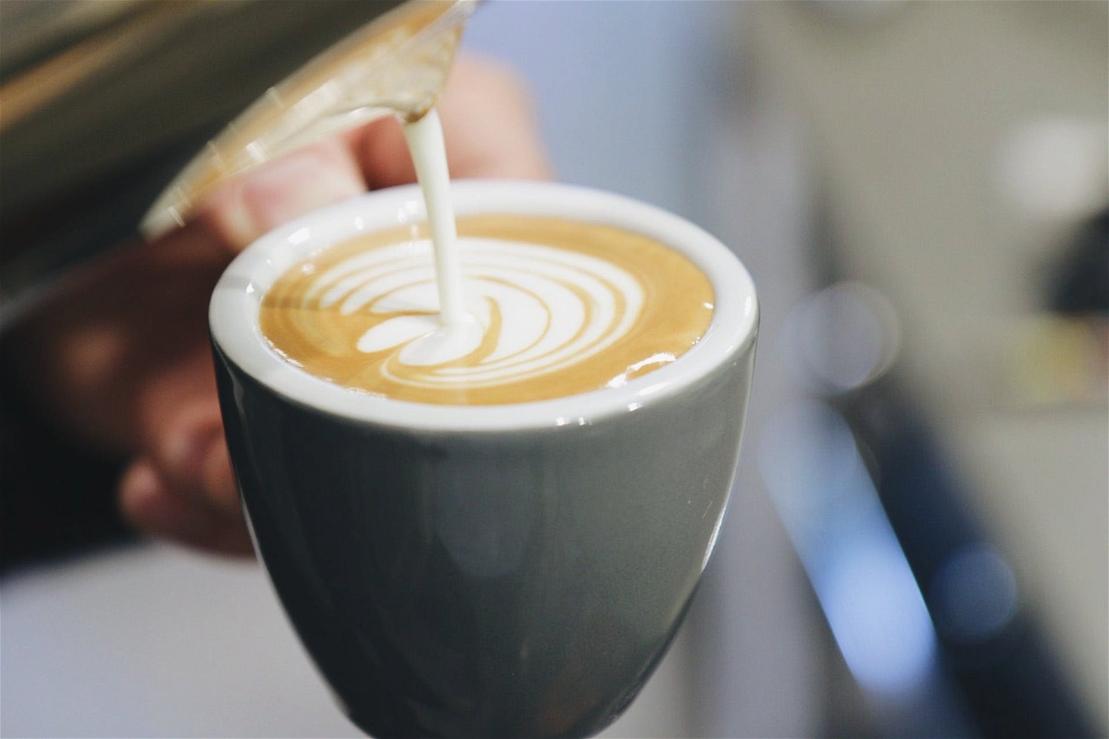 Normcore Coffee Roasters - Ashfield - Northern Rivers Accommodation