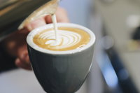 Normcore Coffee Roasters - Ashfield - Townsville Tourism