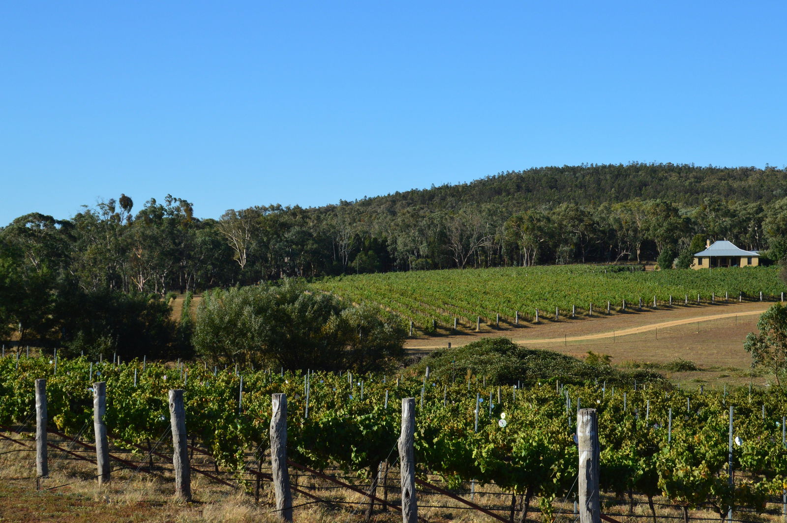 Gumble ACT VIC Tourism