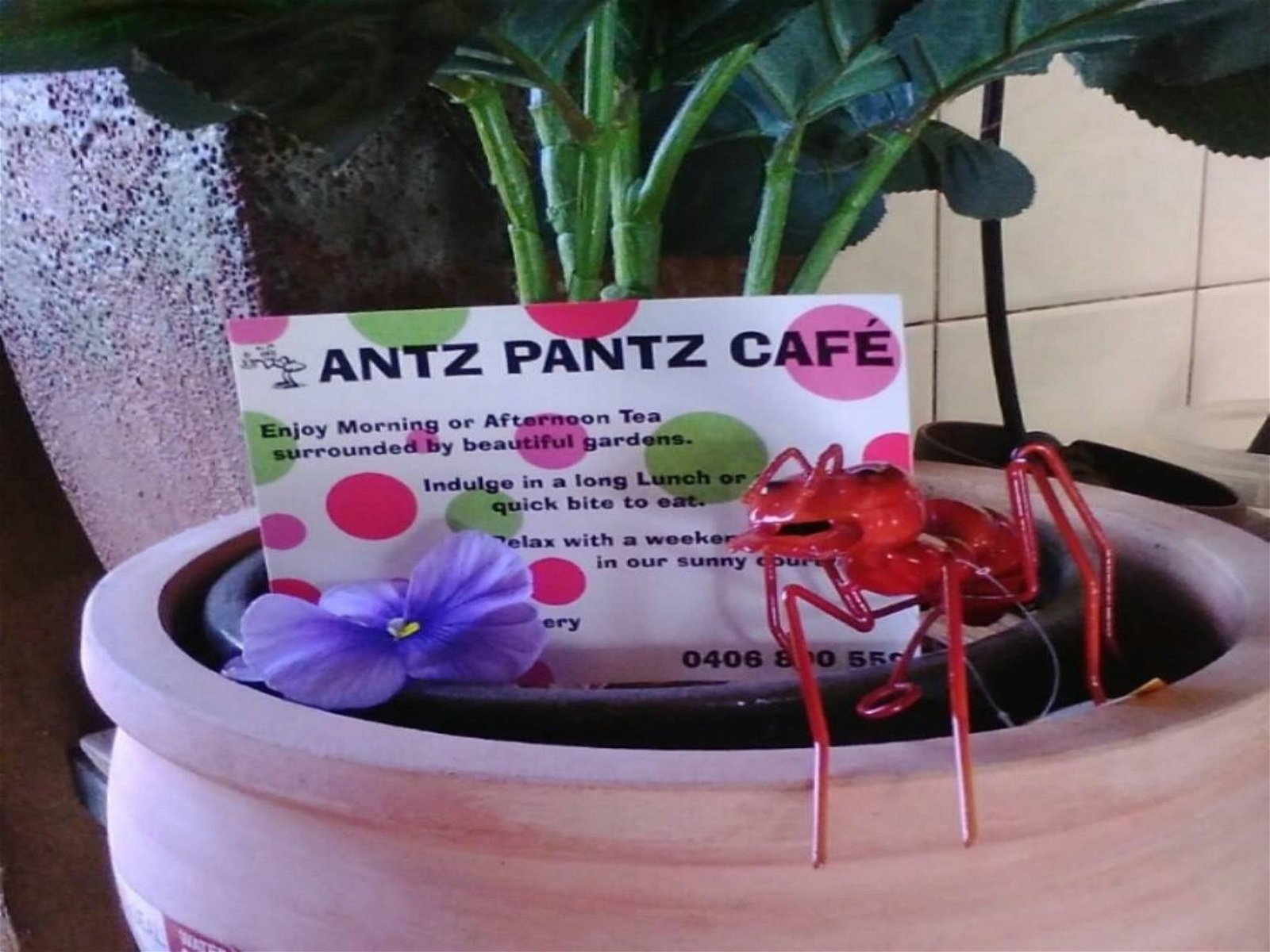 Antz Pantz Cafe - Food Delivery Shop