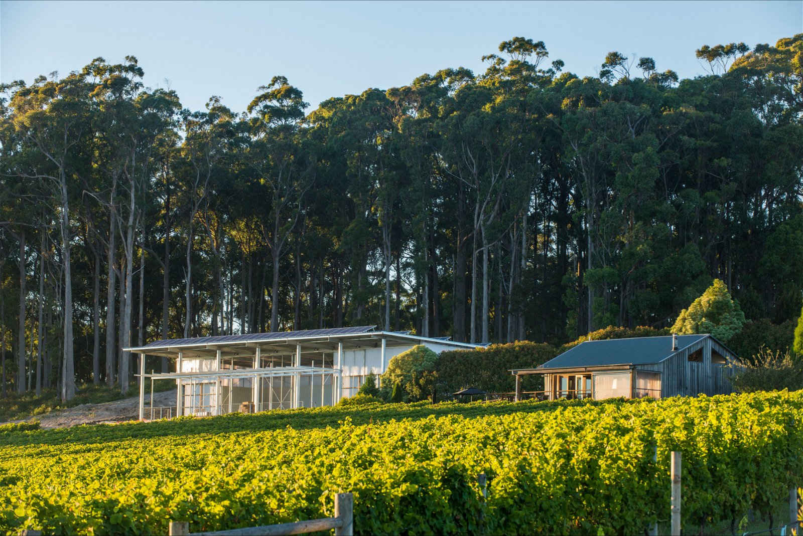 Moores Hill Estate - Northern Rivers Accommodation