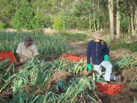 Sweet Water Farm