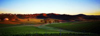 Dalwhinnie Wines - Accommodation Georgetown