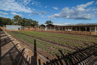 Camperdown Commons - Great Ocean Road Tourism