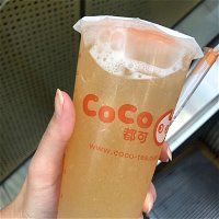 CoCo Fresh Tea  Juice - Chatswood - Accommodation Daintree