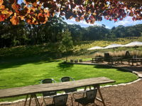 Deviation Road Winery - Accommodation Port Macquarie