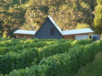 Two Bud Spur Vineyard - Accommodation Coffs Harbour