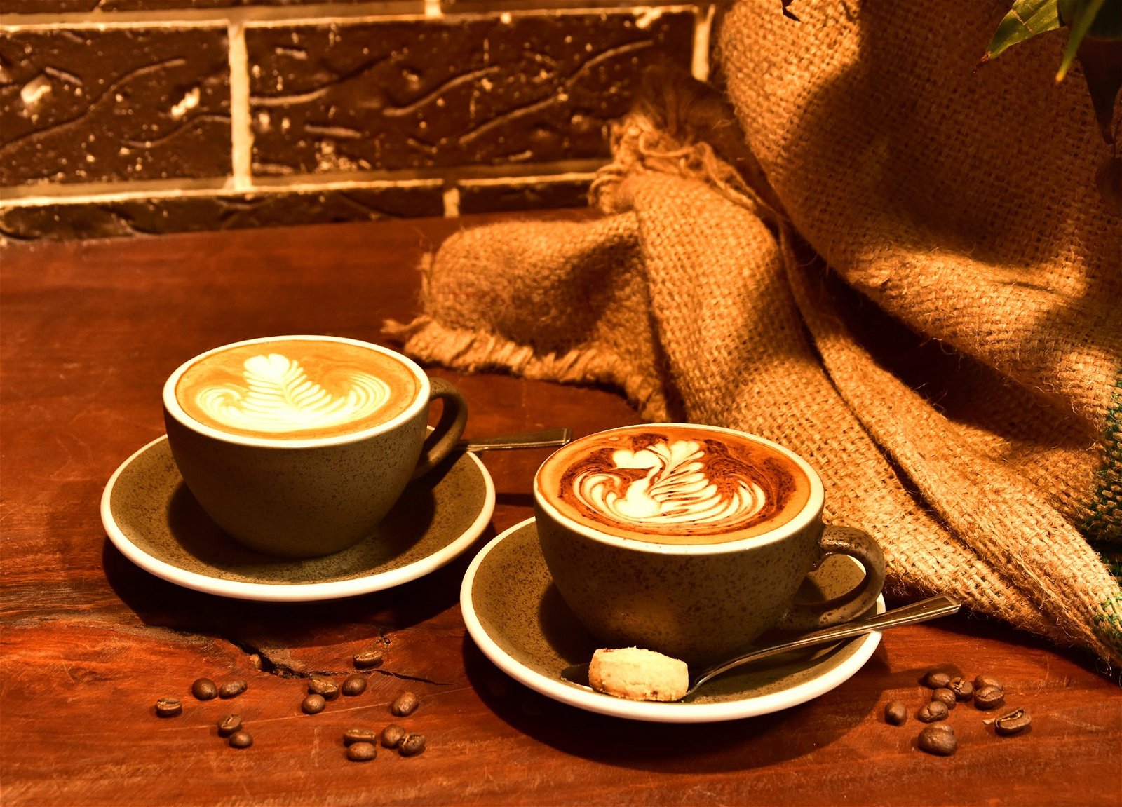 Alfresco Coffee Roasters