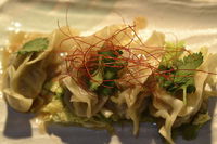 Dashi - Surfers Paradise Gold Coast