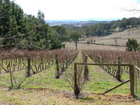 Habitat Vineyard - Melbourne Tourism