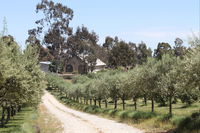 L'Oliveraie Olive Grove - Surfers Gold Coast