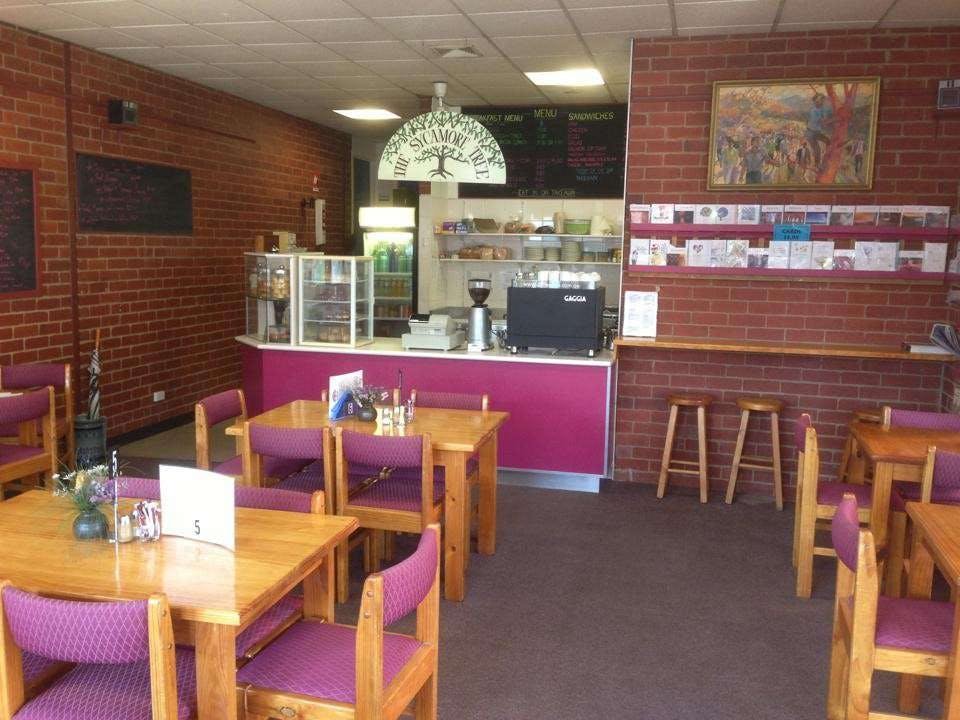 Sycamore Tree Coffee Shop - South Australia Travel