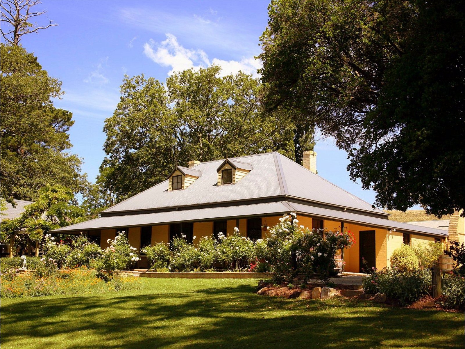 Eling Forest Cellar Door and Cafe - Tourism Gold Coast