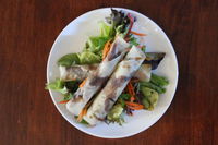 Fionix Thai Restaurant - Accommodation Sunshine Coast