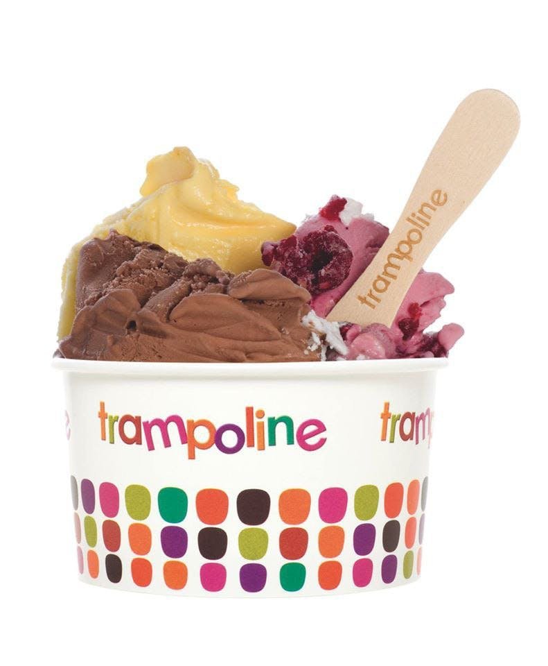 Trampoline Gelato - Doncaster - Northern Rivers Accommodation