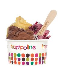Trampoline Gelato - Doncaster - New South Wales Tourism 