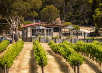 False Cape Wines Cellar Door - Tourism TAS