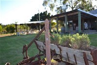 Ugly Duckling Wines - Accommodation Gladstone