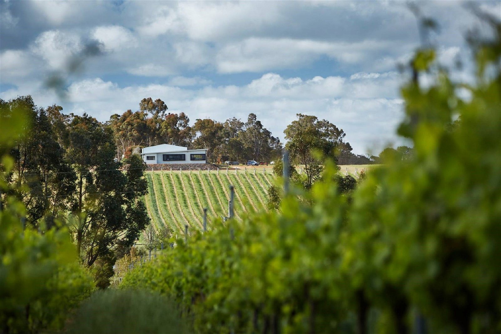 Victory Point Wines - Northern Rivers Accommodation