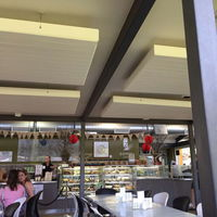 Zamia Cafe - Sydney Tourism