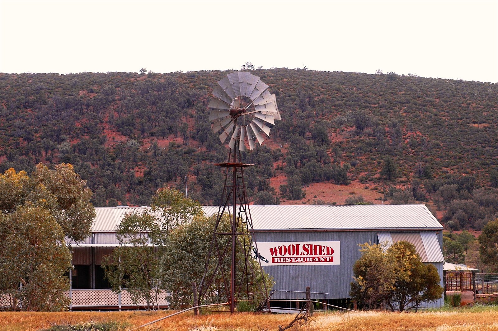 The Woolshed Restaurant at Rawnsley Park - Tourism TAS