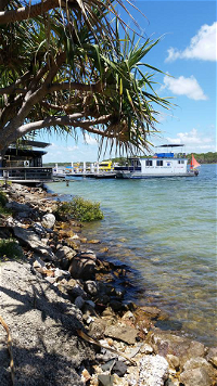 Tin Can Bay Yacht Club Bistro - Tourism Noosa
