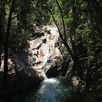 Pioneer Valley Diner - Accommodation Whitsundays