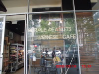 Purple Peanuts Japanese Cafe - Pubs Sydney